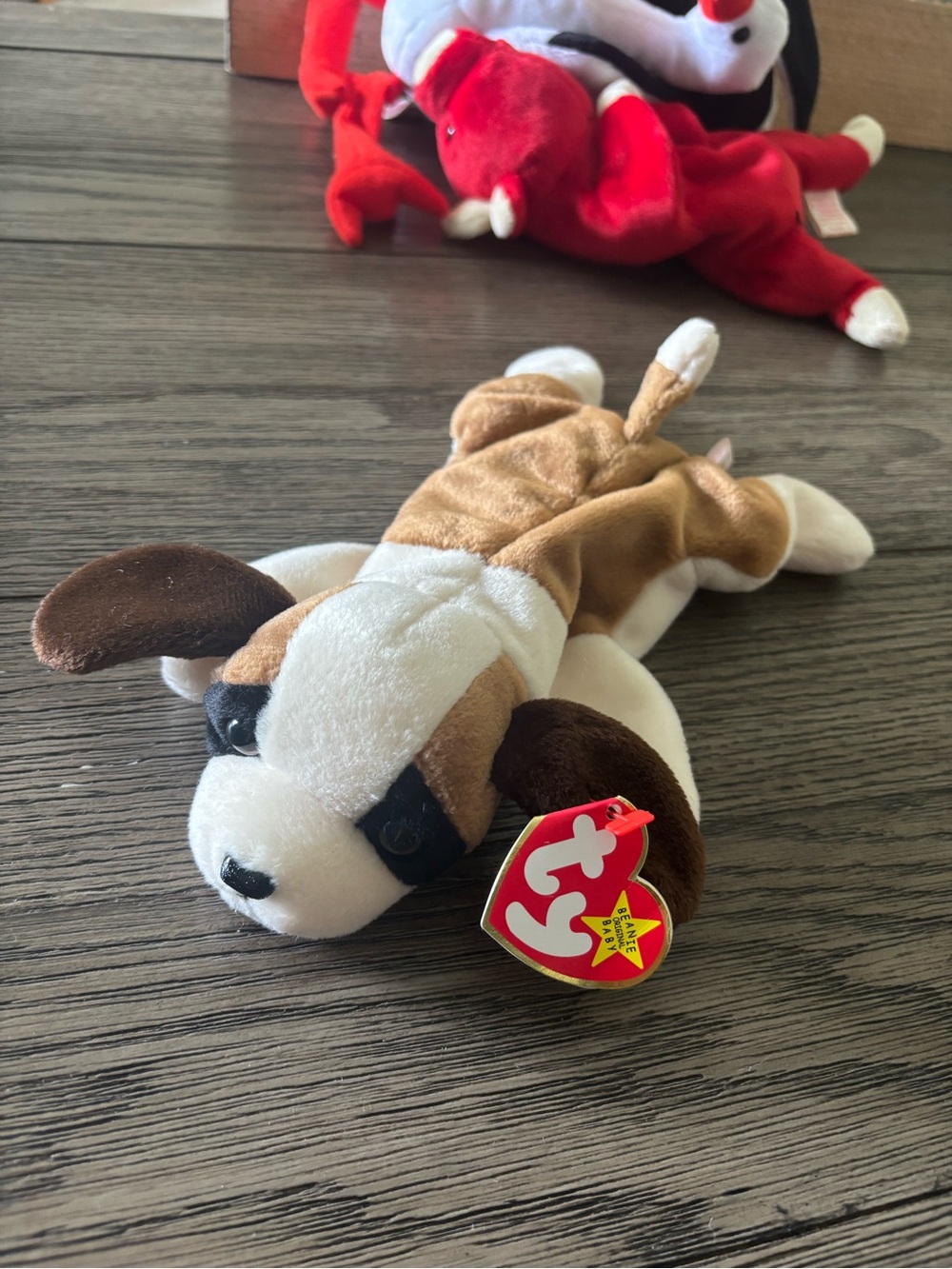 Bernie Beanie Baby